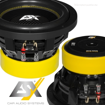 ESX QXE10D2 25cm Subwoofer QXE-10D2